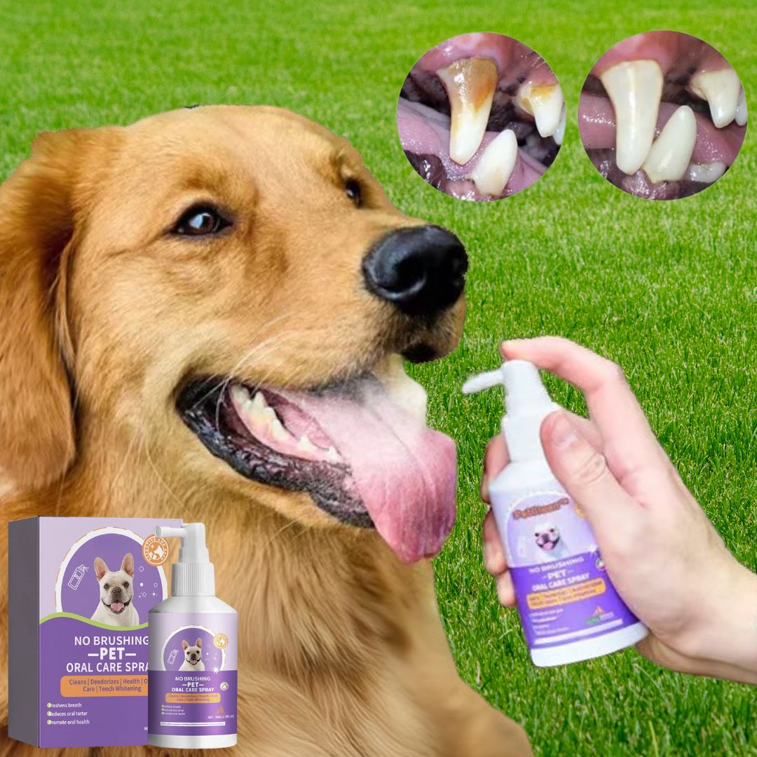 Lemmikkieläinten Suusumute™