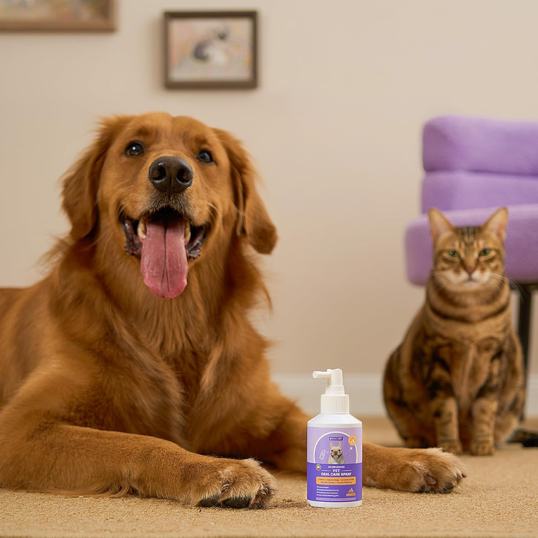 Lemmikkieläinten Suusumute™